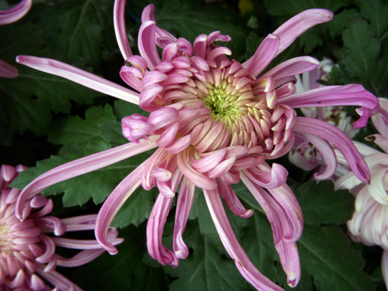 dscn1158.jpg