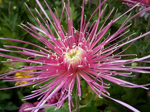 dscn1184.jpg