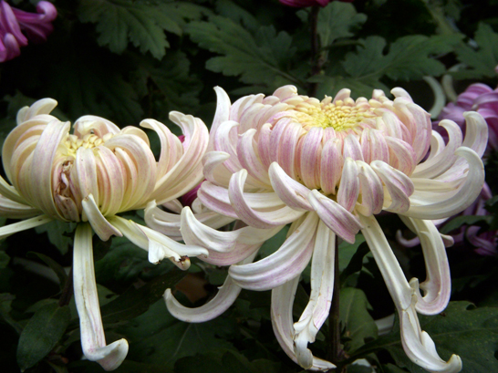 dscn1215.jpg