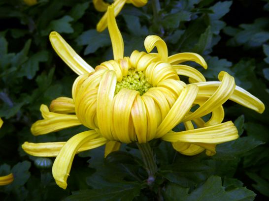 dscn1267.jpg