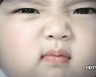 .gif