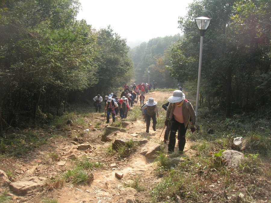 dscn4379.jpg
