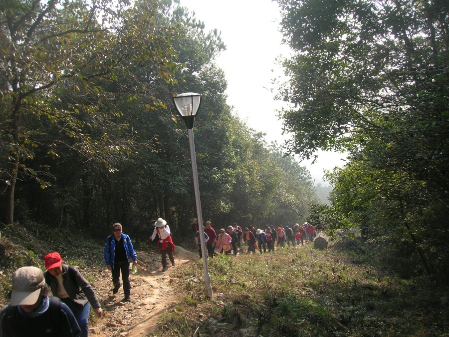 dscn4381.jpg