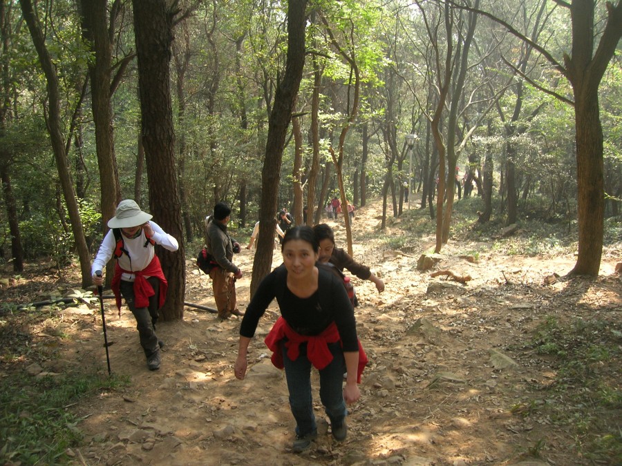 dscn4402.jpg