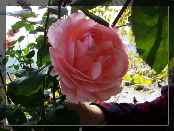 100_6471.jpg