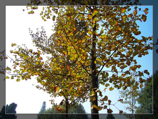 100_6532.jpg