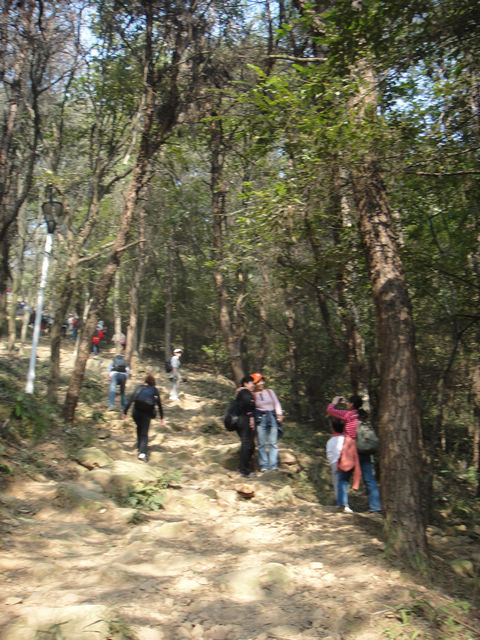 dsc01881.jpg