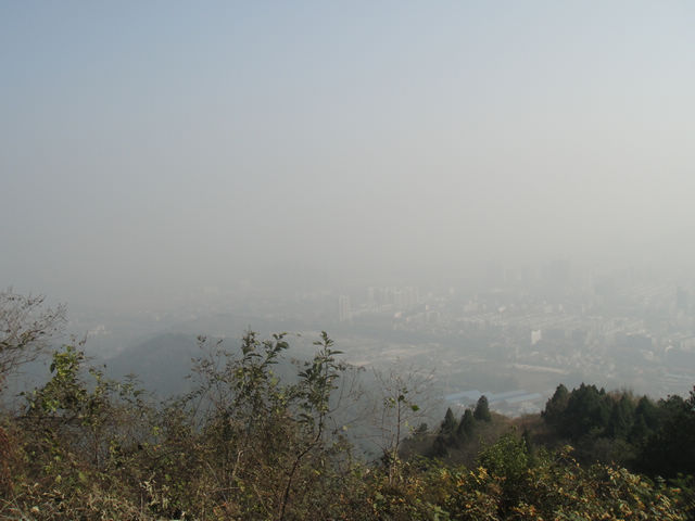 dsc01884.jpg
