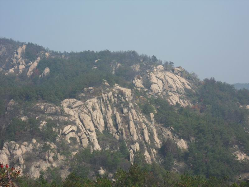 С sdc10211.jpg