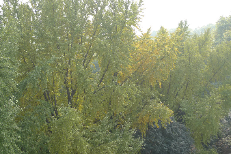 yp1070468.jpg