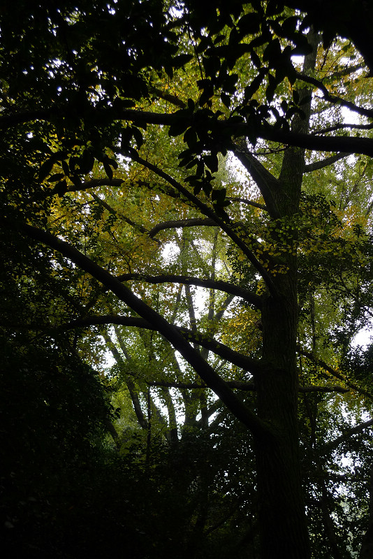 yp1070457.jpg