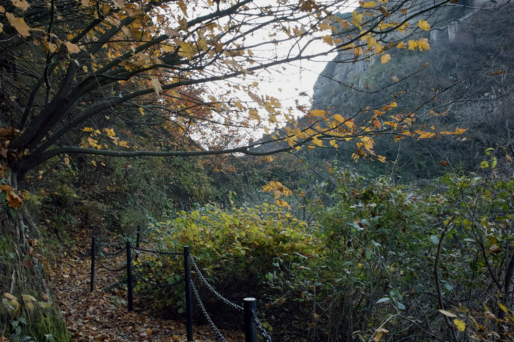 sdim0131.jpg