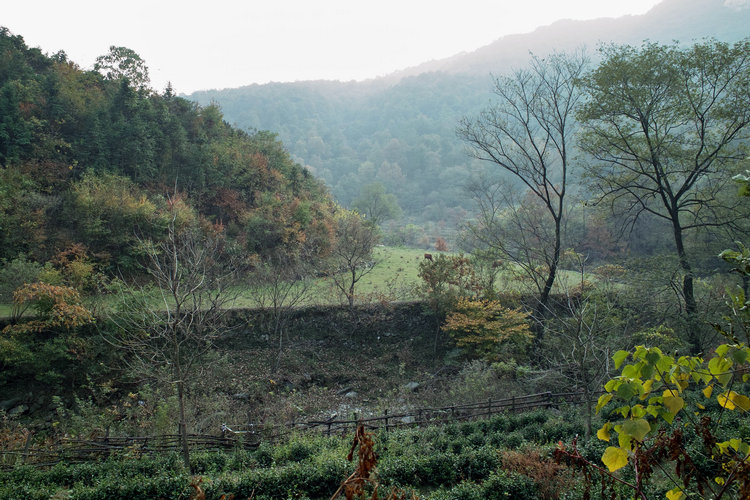 sdim0142.jpg