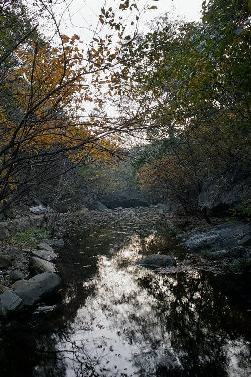 sdim0154.jpg