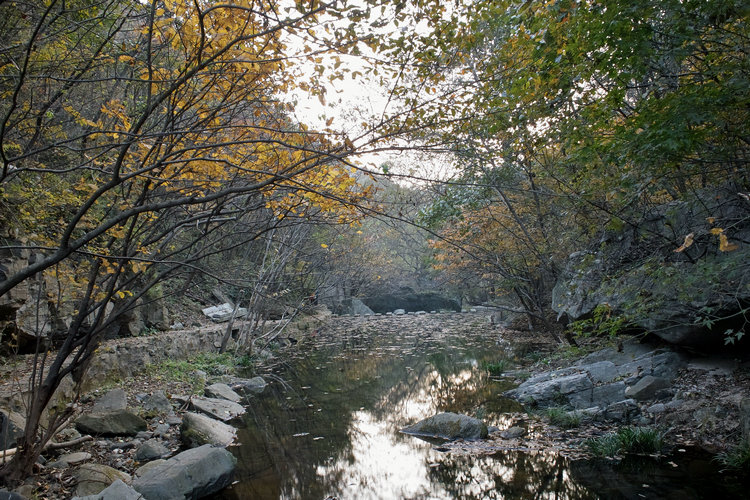 sdim0158.jpg