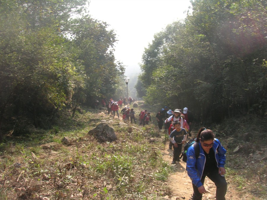 dscn4384.jpg