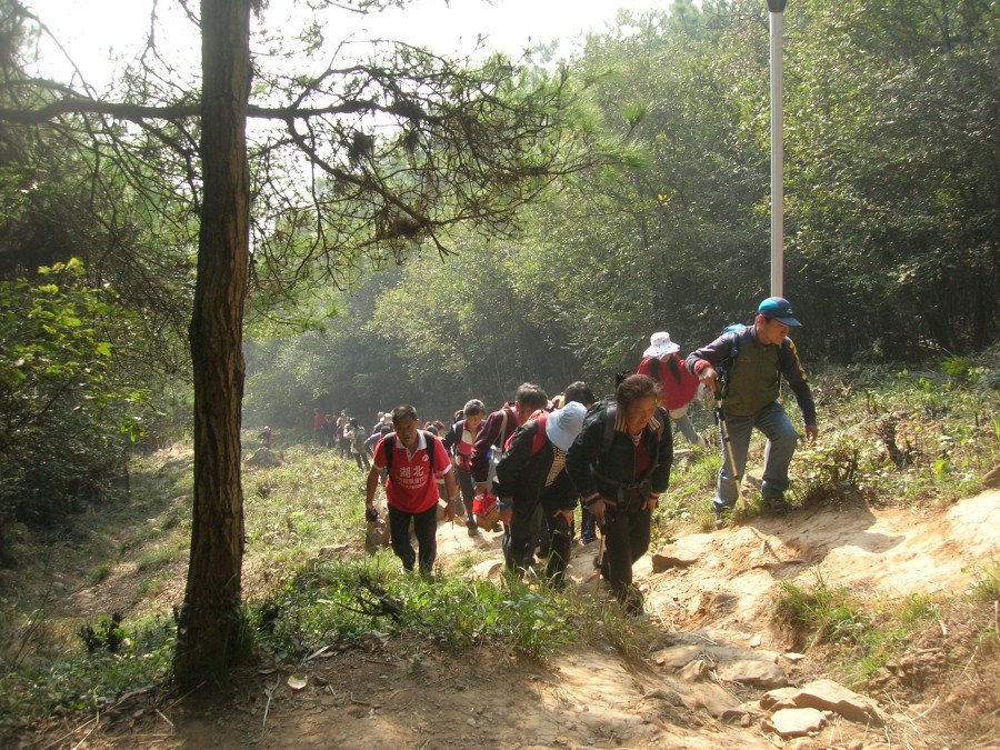 dscn4385.jpg