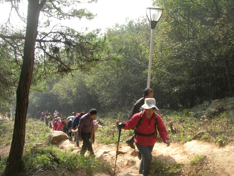 dscn4390.jpg