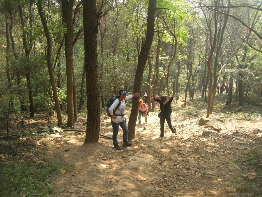 dscn4407.jpg