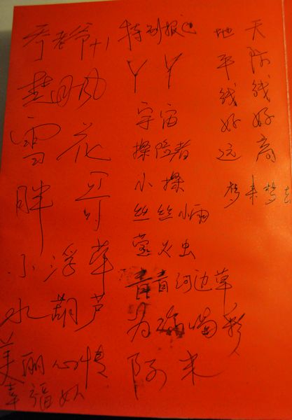 _dsc0638.jpg