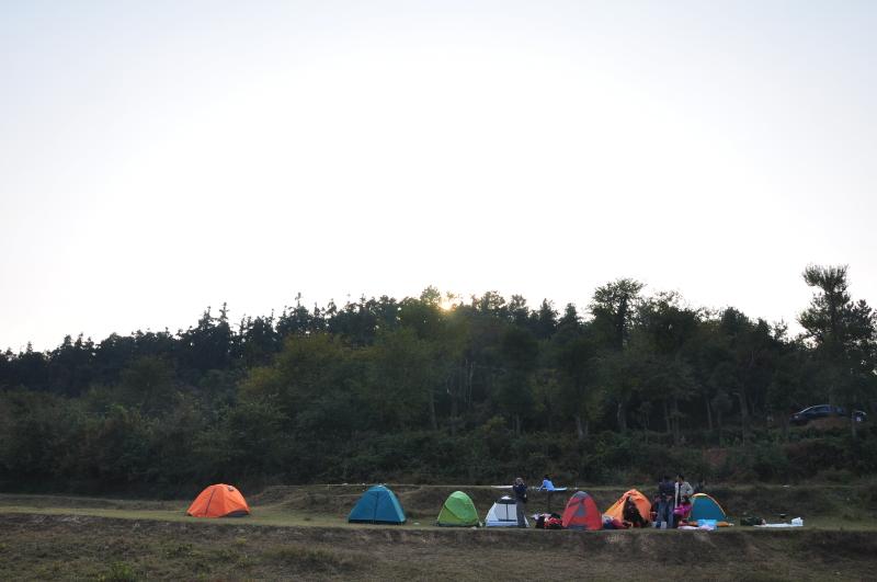 dsc_0491.jpg
