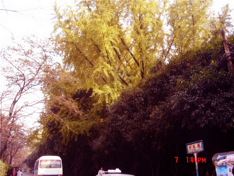 Ƭ 002_.jpg