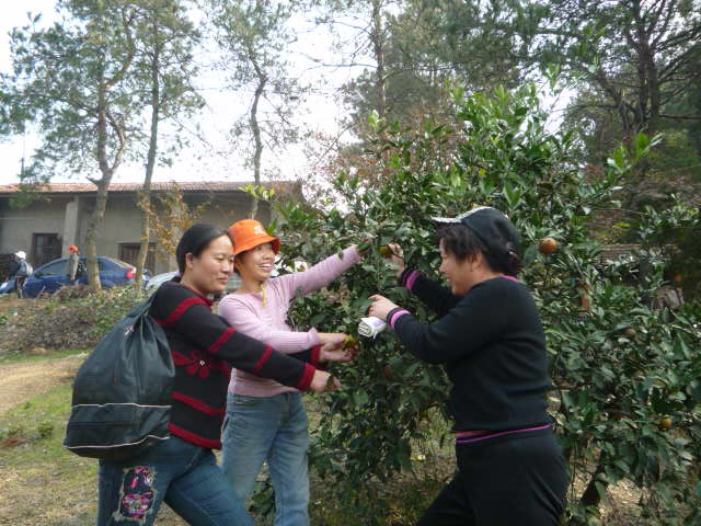 p1060942.jpg
