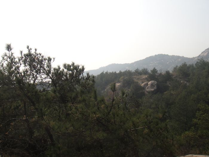 dsc02127.jpg