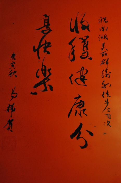 _dsc0637.jpg