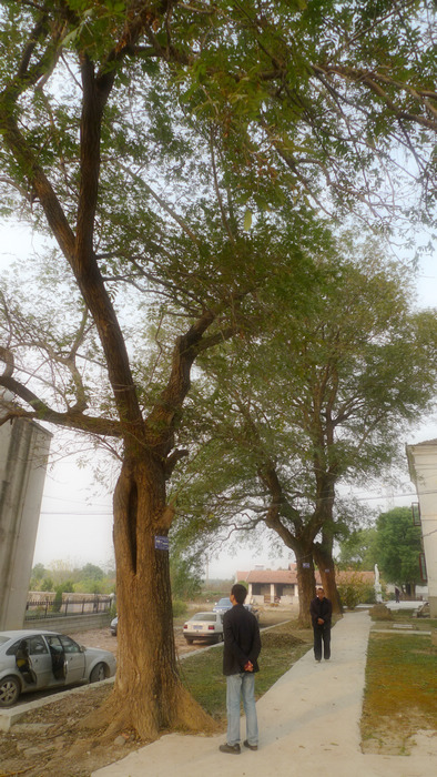 p1080442.jpg