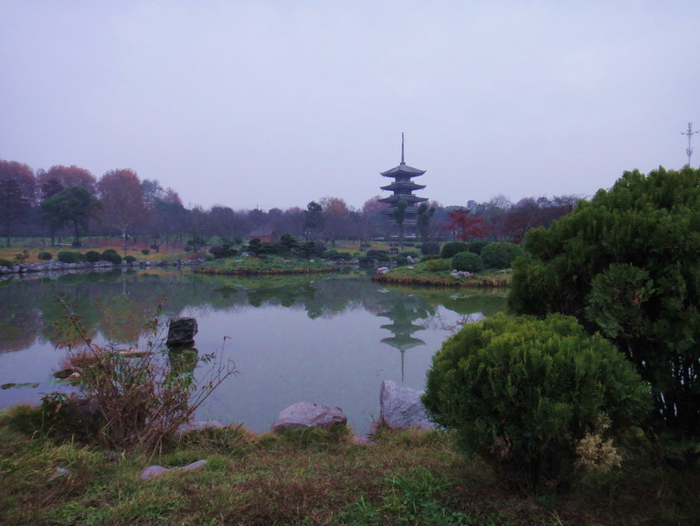 dsc07642.jpg