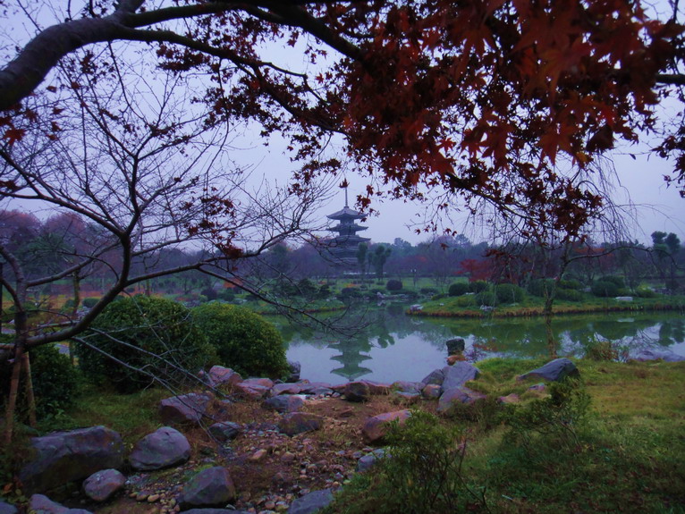 dsc07647.jpg