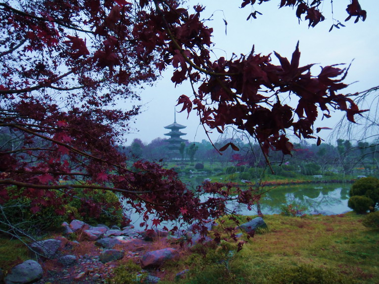dsc07645.jpg