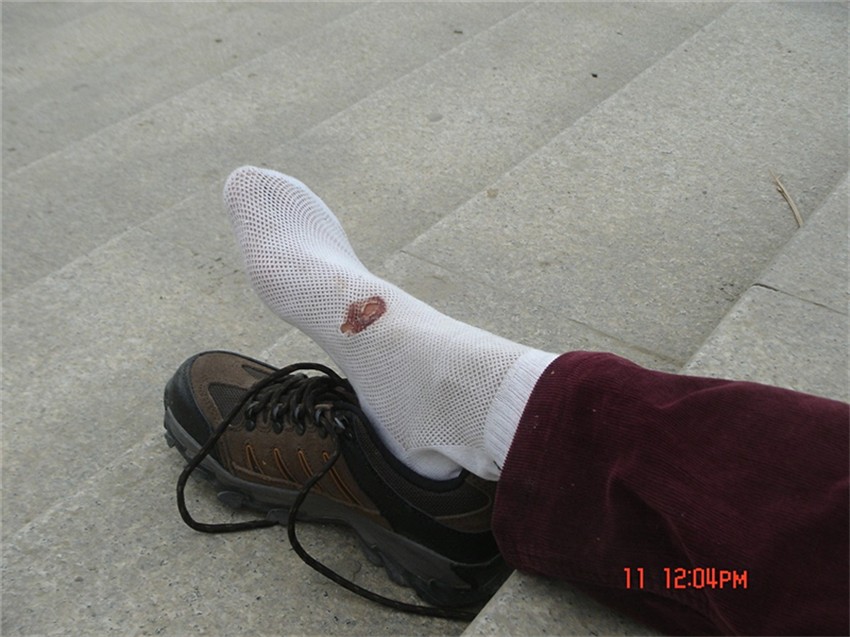 dsc00154_.jpg