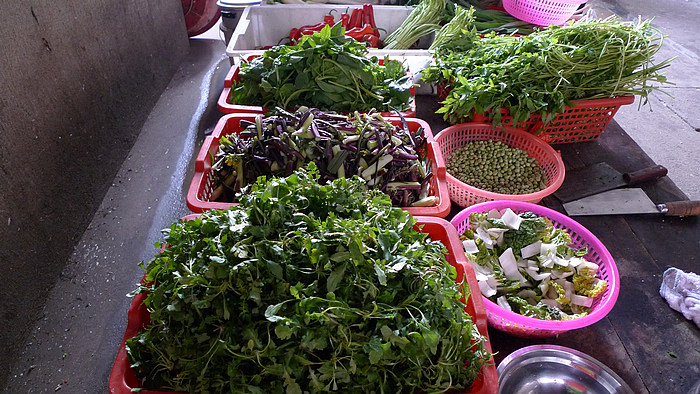 p1080387.jpg