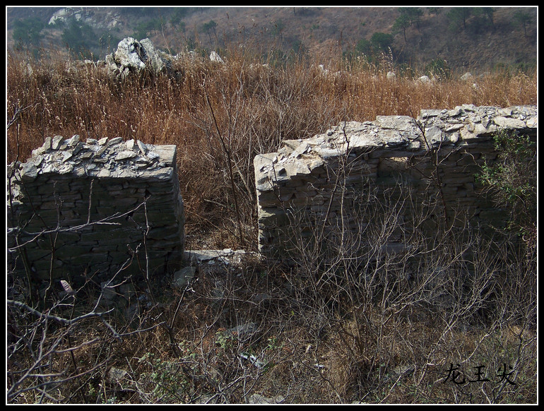 20101219a (57).jpg