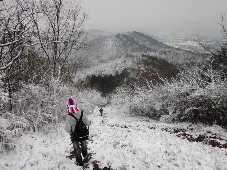 dsc08561.jpg