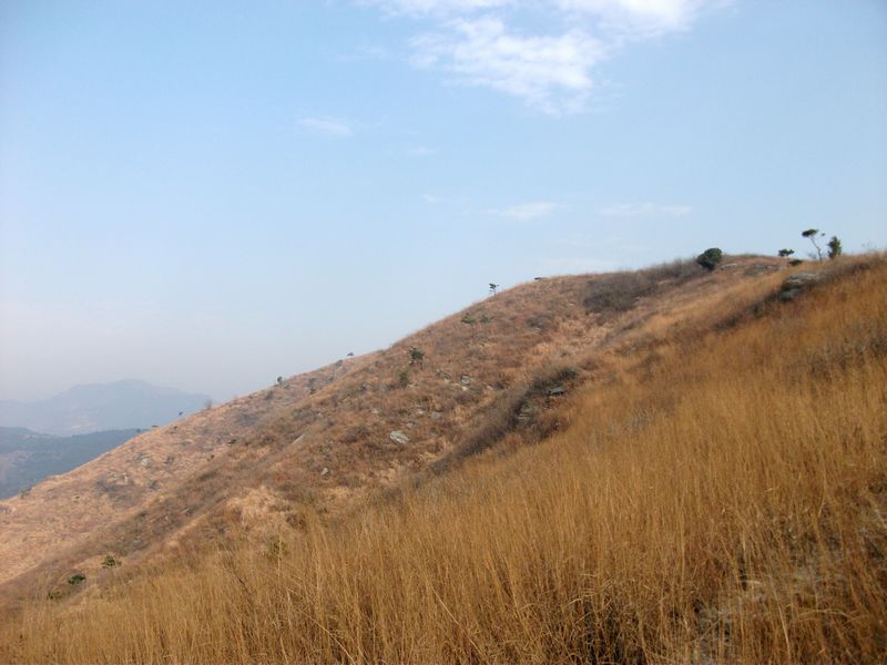 Ƭ 057.jpg
