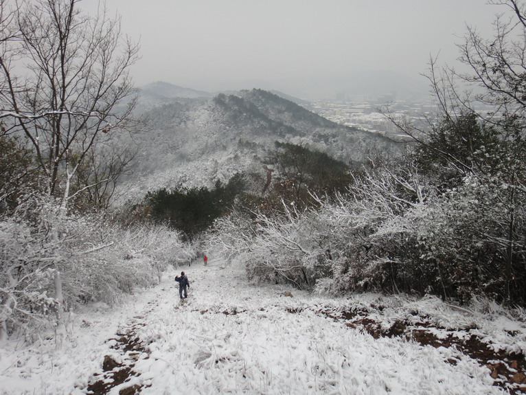 dsc08560.jpg