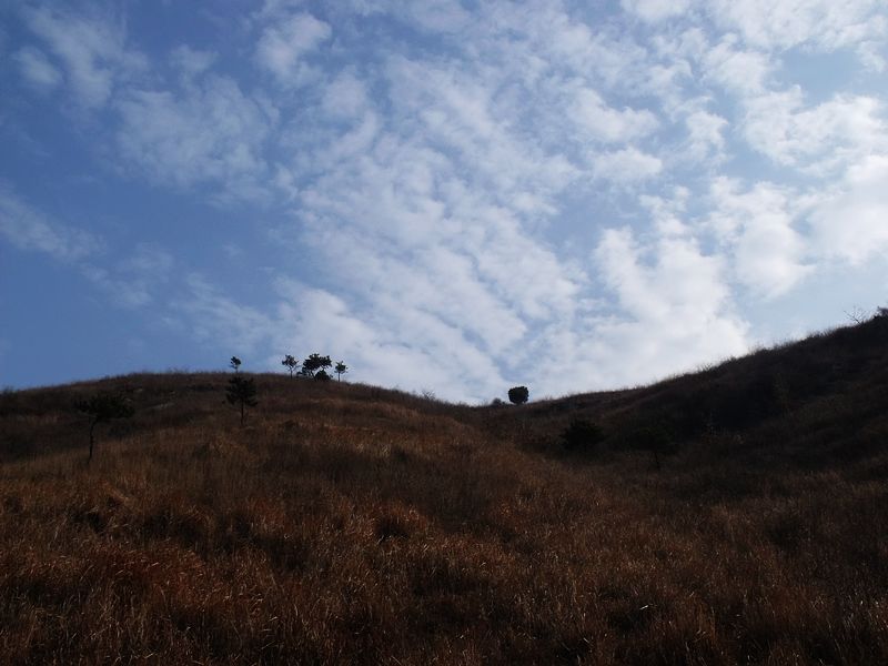 Ƭ 092.jpg