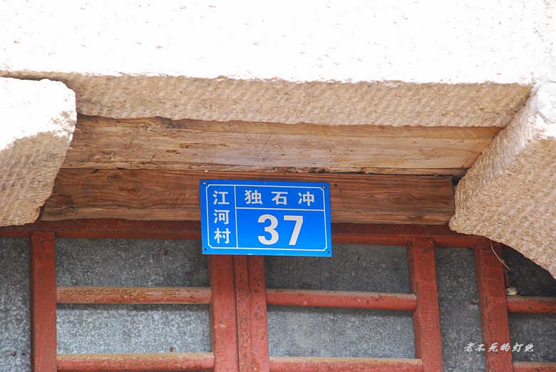 dsc_8802_neo_img.jpg