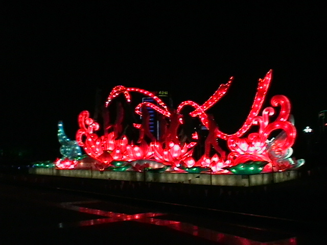517.jpg