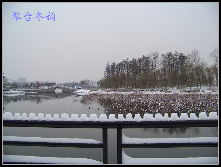20100106ąѩ (12).jpg