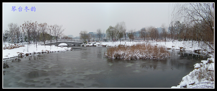 20100106ąѩ (19).jpg