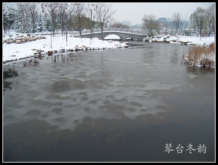20100106ąѩ (20).jpg