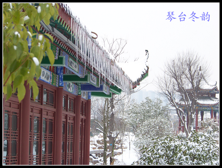 20100106b̨-ƹݶѩ (15).jpg