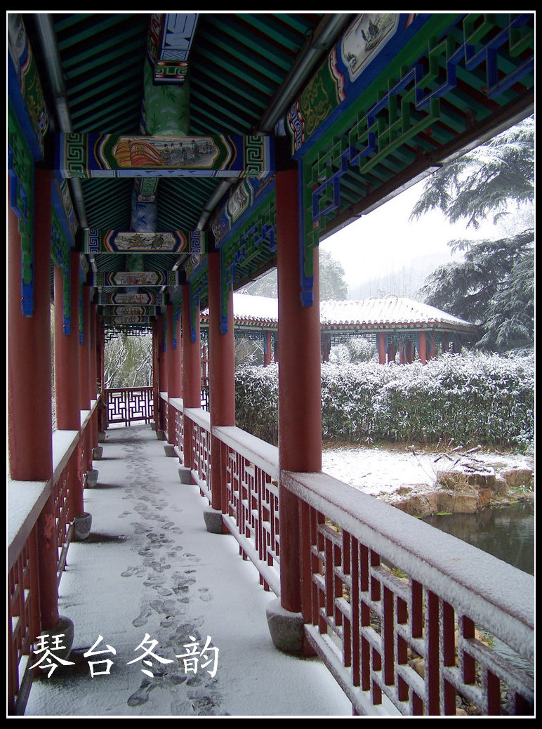 20101215ąѩ (16)ͣƸ.jpg