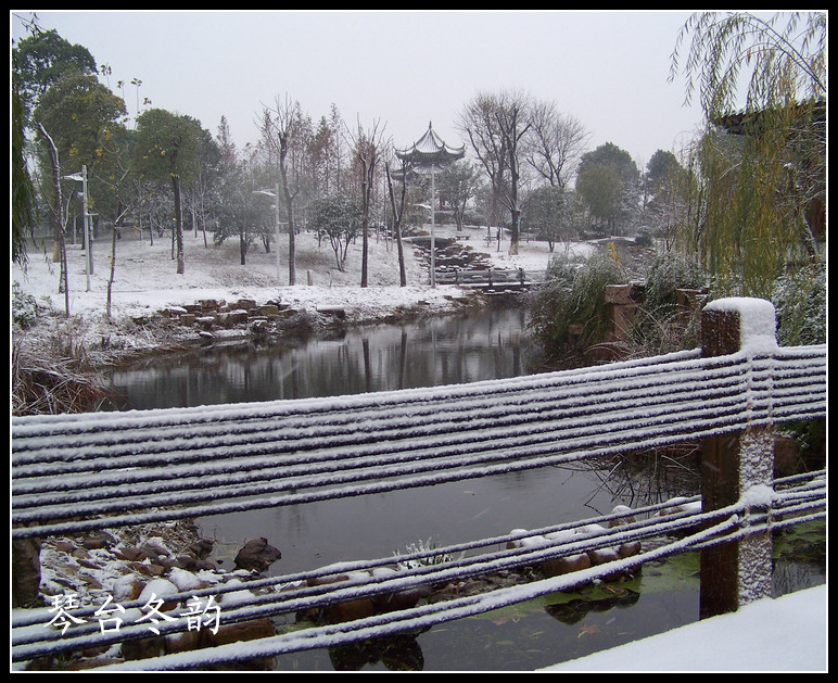 20101215ąѩ (20).jpg