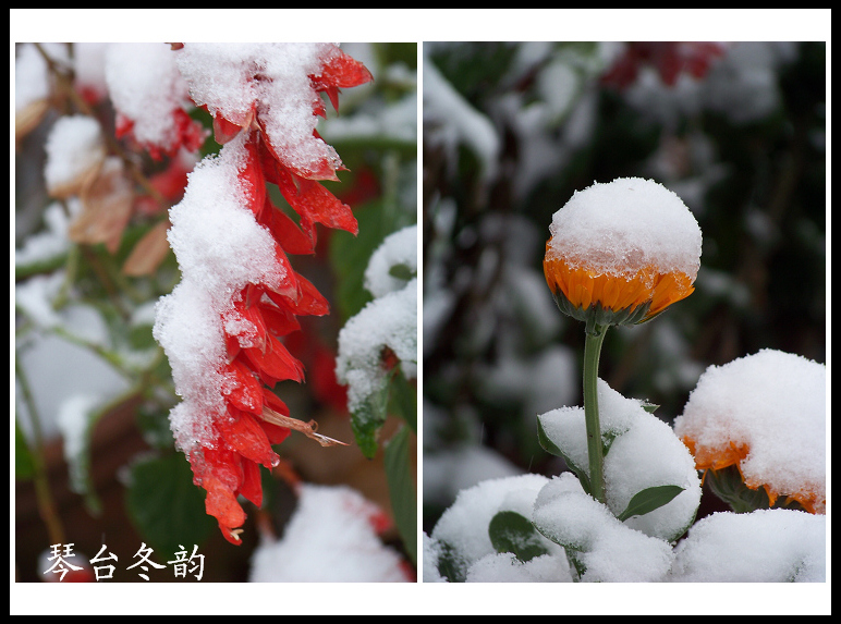 20101215jѩ뻨 (15).jpg