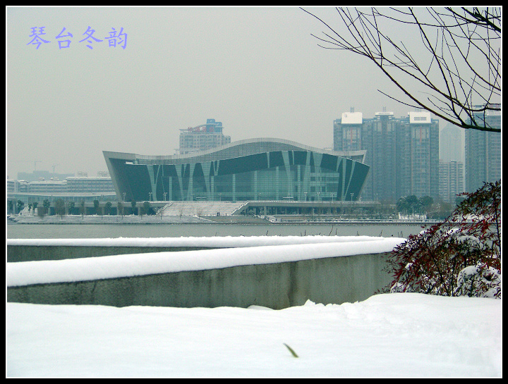 20100106ę԰ֶѩ (60).jpg